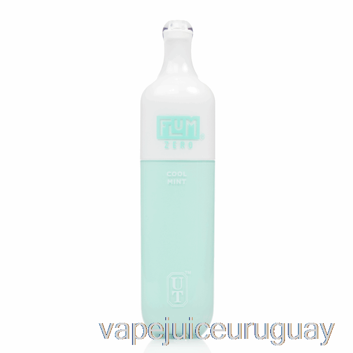 Flum Float 0% Cero Nicotina 3000 Vaporizador Desechable De Menta Fresca Recargable